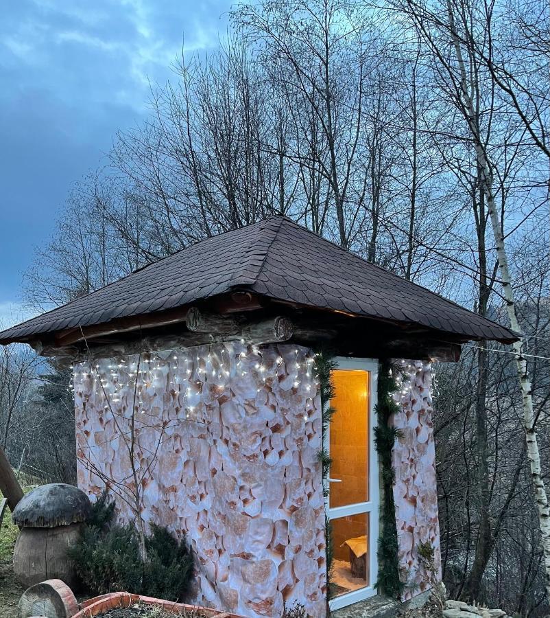 Guesthouse Karpaty Ясіня Екстер'єр фото